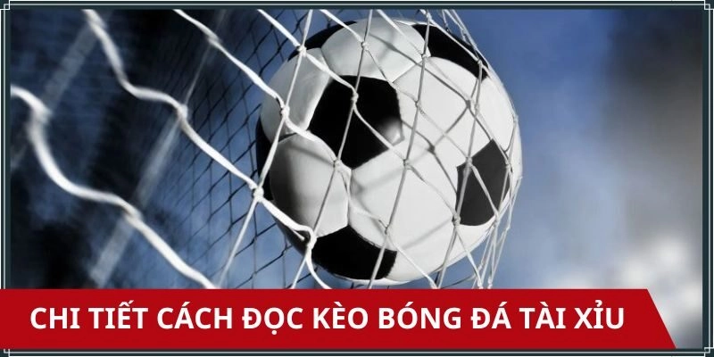 Hướng dẫn đọc kèo bóng đá tài xỉu theo từng loại