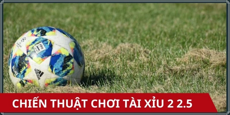Cách để soi kèo tài xỉu 2 2.5