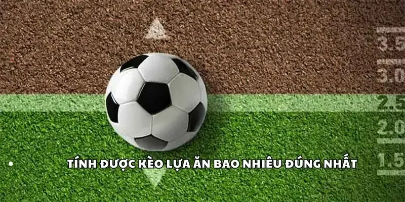 Tính được kèo lựa ăn bao nhiêu đúng nhất
