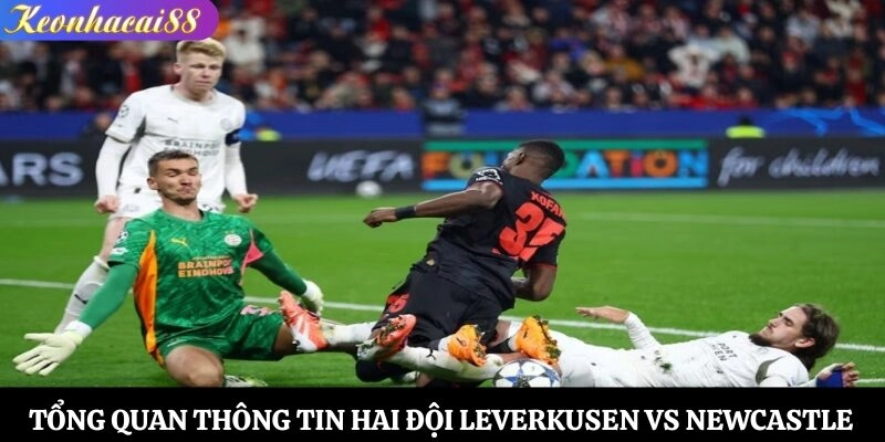 Tổng quan thông tin hai đội Leverkusen vs Newcastle
